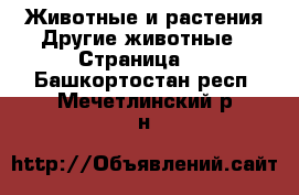 Животные и растения Другие животные - Страница 2 . Башкортостан респ.,Мечетлинский р-н